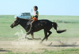 Айргийн гурав-М.Мөнхбатын зээрд