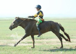 Айргийн тав-Д.Лхагвасүрэнгийн хонгор