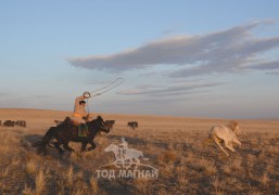 Сумын Алдарт уяач, уран уургач, спортын дэд мастер Н.Баярцогт: Зүсэлсэнг л бугуйлдана