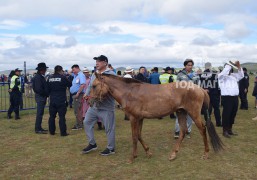 “DDISH” ХК-ийн ТУЗ-ын гишүүн Д.Ганболд: Манай сумаас анх удаа төрийн наадамд морь айрагдаж байгаа нь энэ юм билээ