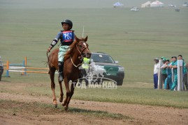 МУ-ын Алдарт уяач П.Энхмөнх: Хул үрээ миний аавын бий болгосон их хангай угшлын адуу