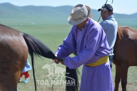 Аймгийн Алдарт уяач Н.Мөнхбат: Олноороо хүрээлүүлсэн наадам сайхан