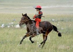 Г.Ганзоригийн халиун