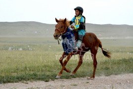 Д.Ганбаатарын зээрд