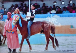 “Жонон вангийн хурд”МСУХ-ны тэргүүн Ж.Энхбаатар: Том наадамд хоёр адуу оруулахаар өөрийн эрхгүй самсаа шархирдаг юм билээ