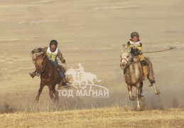 Айргийн тав - Ж.Мөнхтөрийн хонгор халзан, зургаа - Ц.Тувааны бор