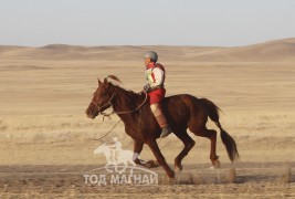 14 - Д.Дагвадоржийн зээрд