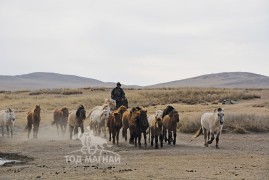 Адуучин Б.Бямбасүрэн: Би анх Оодон хар гэж хэлд орж байсан гэсэн