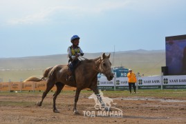 19 - Д.Тэгшдэлгэрийн бор