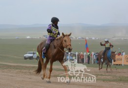 Айргийн дөрөв - Х.Бат-Эрдэнийн шарга