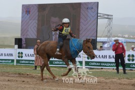 Айргийн тав - Ц.Жадамбын ухаа