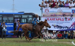 Айргийн тав - Б.Мөнхтүвшингийн хонгор халзан, зургаа - Х.Бадамсүрнгийн бор халзан