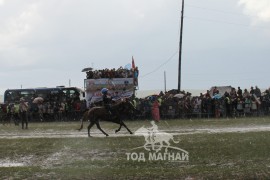 Зургаа - П.Энхмөнхийн хонгор халзан