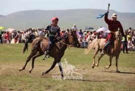 Айргийн дөрөв - Т.Бадамжунайн сартай хээр