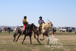 Долоо - З.Пүрэв-Очирын Боовон шарга, найм - Д.Аюулгүй хээр