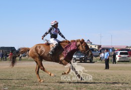 13 - Ц.Мөнгөншагайн сартай хонгор