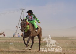 Айргийн дөрөв - Н.Пүрэвдоржийн саарал