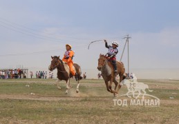 Зургаа - Б.Сумъяагийн буурал, долоо - С.Чулуунбатын алаг