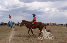 18 - Б.Нохойцагааны зээрд