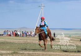 Айргийн гурав - С.Нямжавийн Магнай зээрд