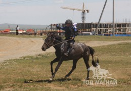 Айргийн гурав - Д.Амгаланбаатарын бор