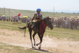 Ес - П.Баяраагийн хар алаг