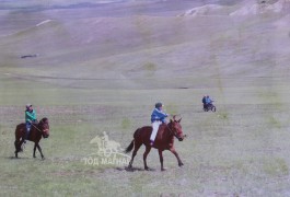 Сумын Алдарт уяач О.Нямсүрэн: Залуучуудаасаа их юм сурч байна