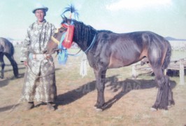 Аймгийн Алдарт уяач Д.Чинбат: Дэлтэй болгон хурдан, дээлтэй болгон бөх болдоггүй л байхгүй юу