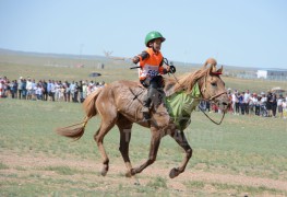 Зургаа Д.Эрдэнэбулганы хонгор