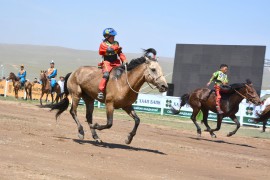 Ерөнхийлөгчид Магнай халиуны төлийг бэлэглэжээ