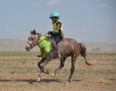 Айргийн гурав Л.Алтанхуягийн бор