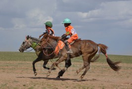 Айргийн дөрөв Ц.Ойдовын бор халзан, айргийн тав Г.Уламбаярын зээрд