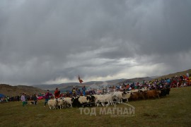 Дөрвөн Тод манлайн мялаалга наадам, “Очирваанийн шигшмэл хурд-2017” уралдаанаас...