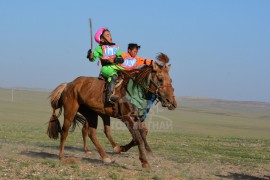 Долоо Д.Одбаярын хонгор