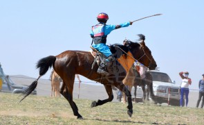 Айргийн гурав Б.Жамъяанпүрэвийн хээр