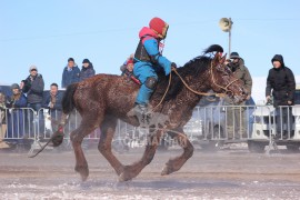 МУ-ын Алдарт уяач Б.Сүхбаатар: Буурлуудын буян заяа түшиж ах, дүү азаргануудаар аатай сайхан наадаж байна