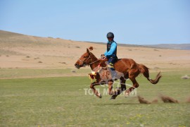 ШИЛДЭГ УРАЛДААНЧ Б.ЦЭРЭНЧИМЭД: ШАР ХЭЭР БИД ХОЁР ДААГАН ЦАГААСАА “НАЙЗАЛЖ” БАЙНА