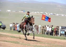 МУ-ын Алдарт уяач Ононгийн Батболдын хээр
