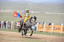 Содномрэнцэнгийн Мөнхнасангийн Бүлтэн бор