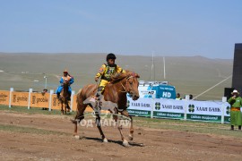 МУ-ын Алдарт уяач Даваахүүгийн Баянбатын Наран хонгор