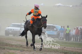 МОНГОЛ УЛСЫН 2017 ОНЫ ХАМГИЙН ӨНДӨР ЧАНСААТАЙ ИХ НАС