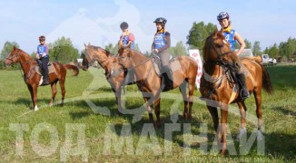 Хурдан морьны холын зайг туулах уралдаан