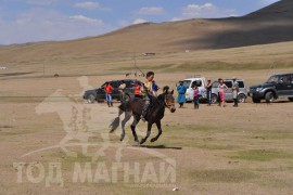 Шижирийн овооны тахилга уралдаан шүдлэн