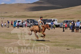 Шижирийн овооны тахилга уралдаан шүдлэн