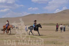 Шижирийн овооны тахилга уралдаан их нас