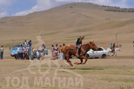 Шижирийн овооны тахилга уралдаан их нас