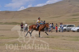 Шижирийн овооны тахилга уралдаан их нас