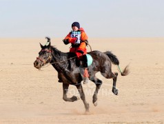 Айргийн гуравт Т.Ганболдын бор