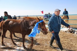 “Сэцэн ханы хурд-2018” хаврын бүсийн уралдаан амжилттай зохион байгуулагдлаа