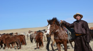 АЙМГИЙН АЛДАРТ УЯАЧ М.МӨНХБАЯР: БИ Ч МОРИНЫ ТӨЛӨӨ УЙГАГҮЙ ЗҮТГЭЖ ЯВАА ХҮН ДЭЭ